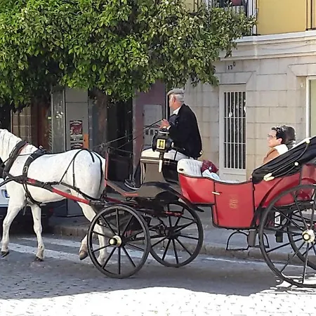 Sherryflat Paralejo 10 - Parking Apartment Jerez de la Frontera
